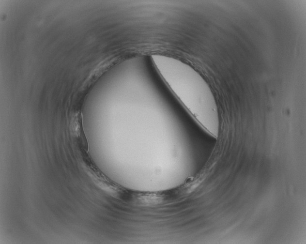 X0000063460383200601200936