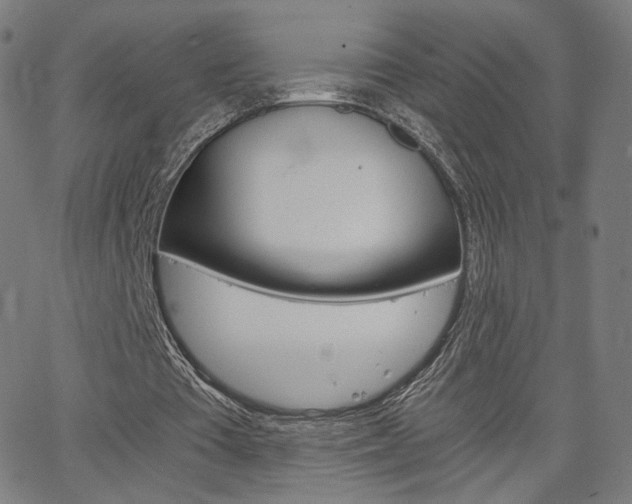 X0000063460385200601200935