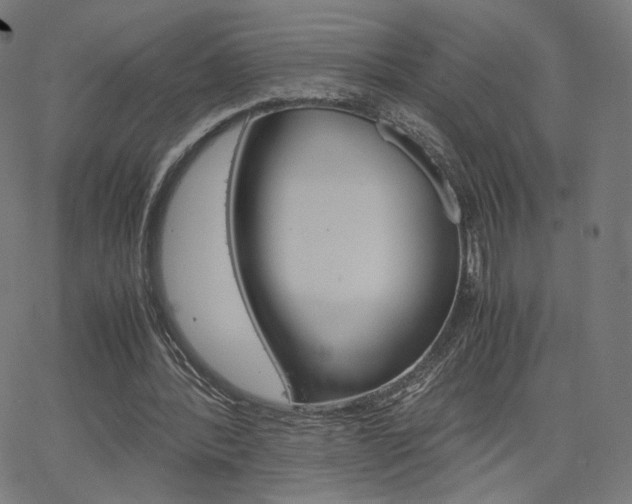 X0000063460388200601200935