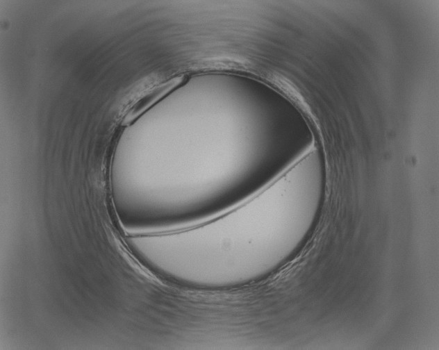 X0000063460389200601200935