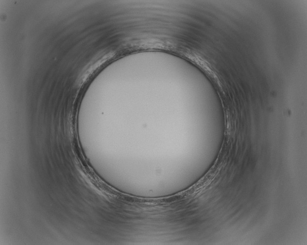 X0000063460390200601200935