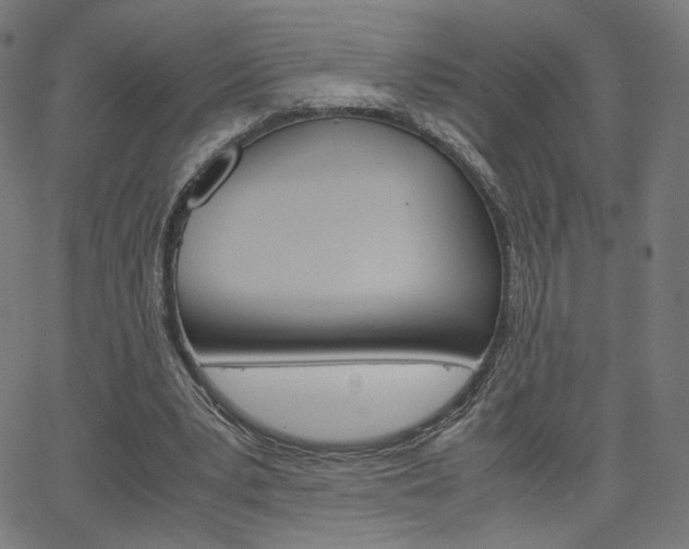 X0000063460391200601200935