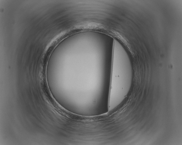 X0000063460392200601200935