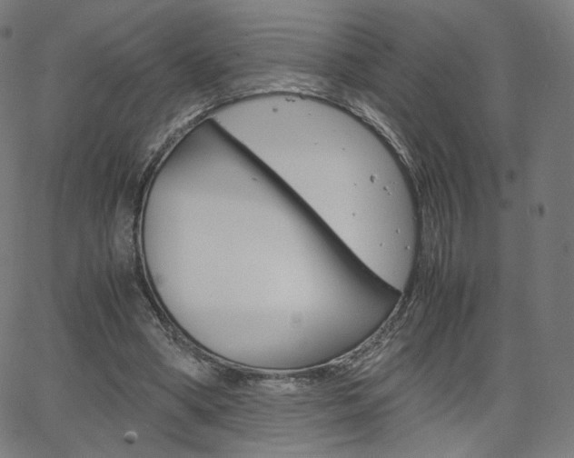 X0000063460394200601200935