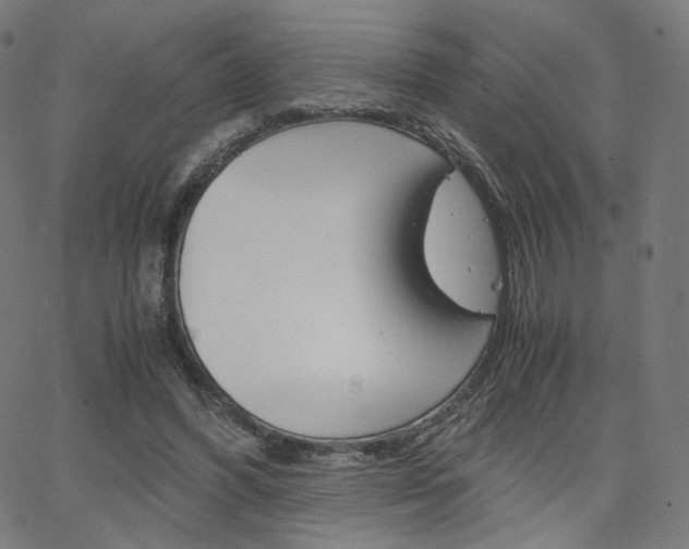 X0000063460396200601200935