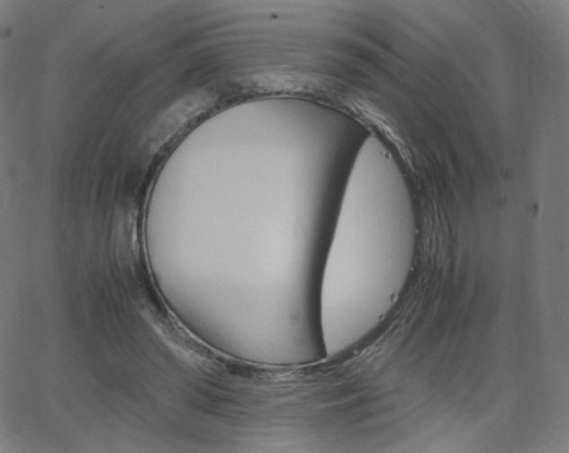 X0000063460398200601200935