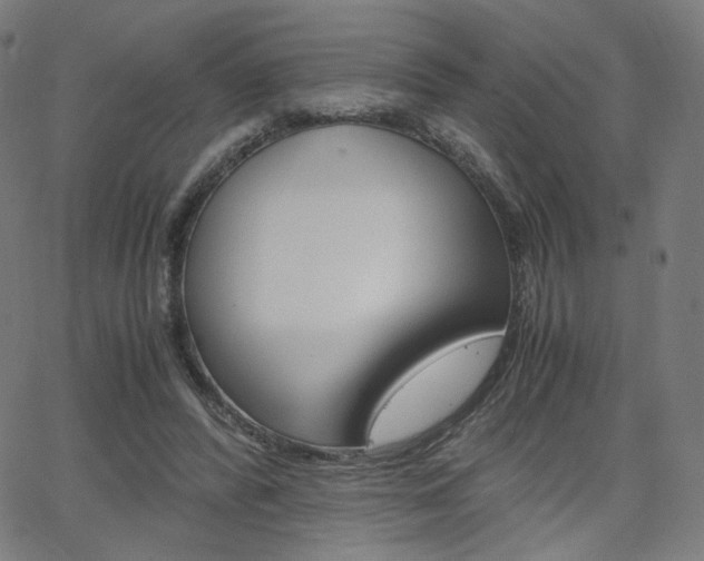 X0000063460400200601200935