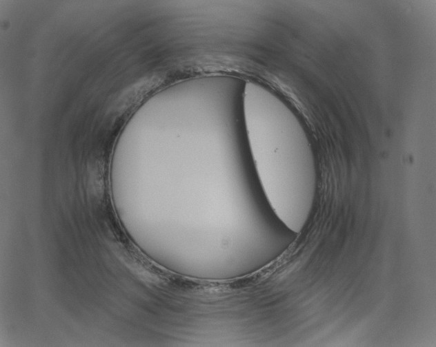 X0000063460402200601200935