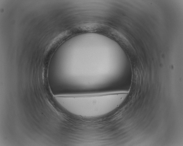 X0000063460404200601200935