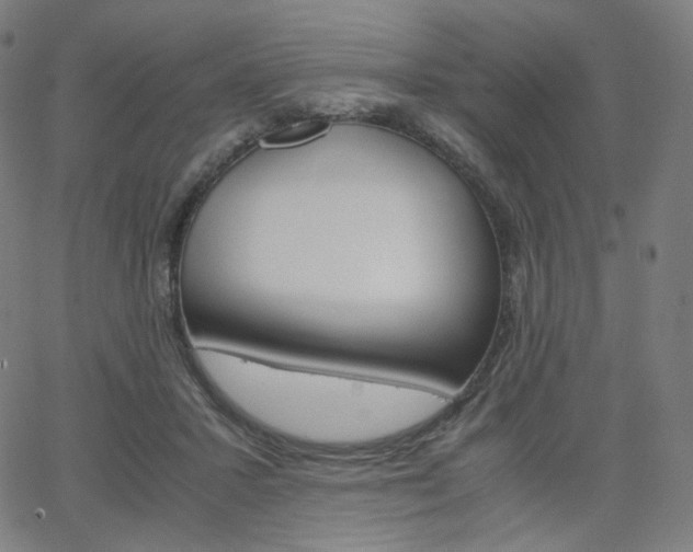 X0000063460407200601200935