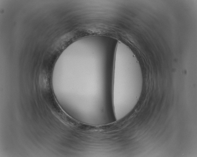 X0000063460408200601200935