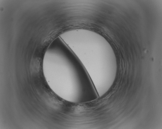 X0000063460412200601200935