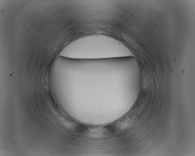 X0000063460414200601200935