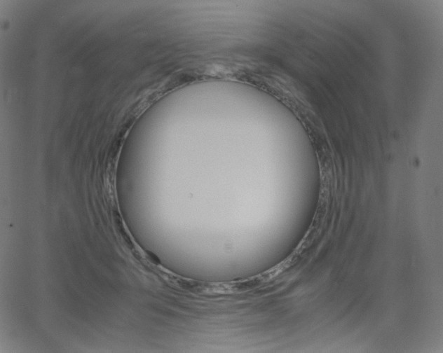 X0000063460415200601200935