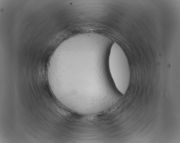 X0000063460418200601200935