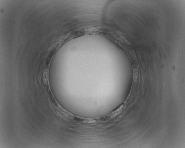 X0000063460419200601200935