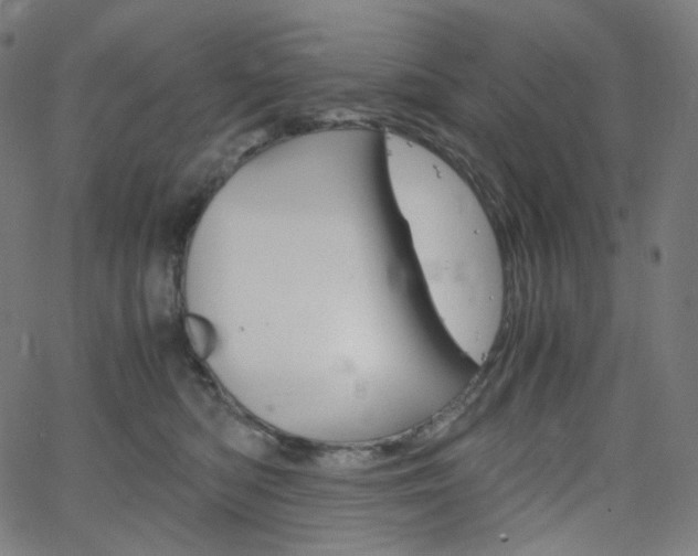 X0000063460422200601200935