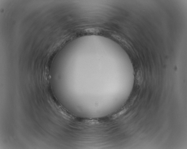 X0000063460424200601200935