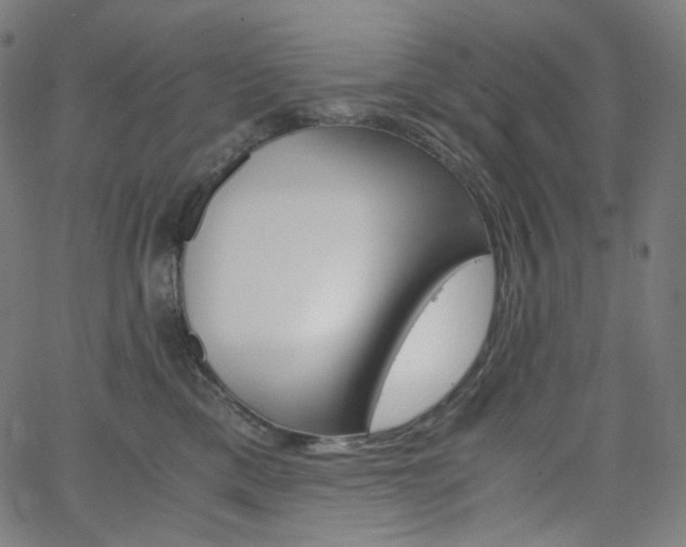 X0000063460425200601200935