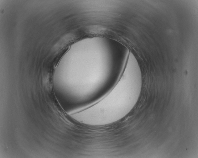 X0000063460428200601200935