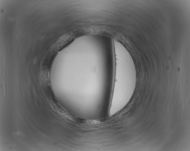 X0000063460429200601200935