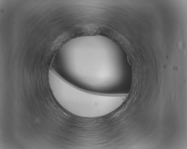 X0000063460432200601200935