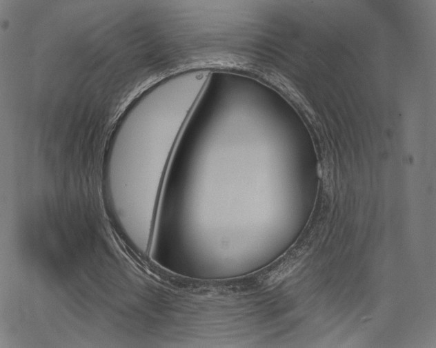 X0000063460434200601200934