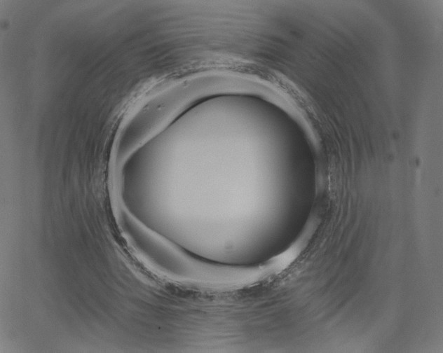X0000063460436200601200934