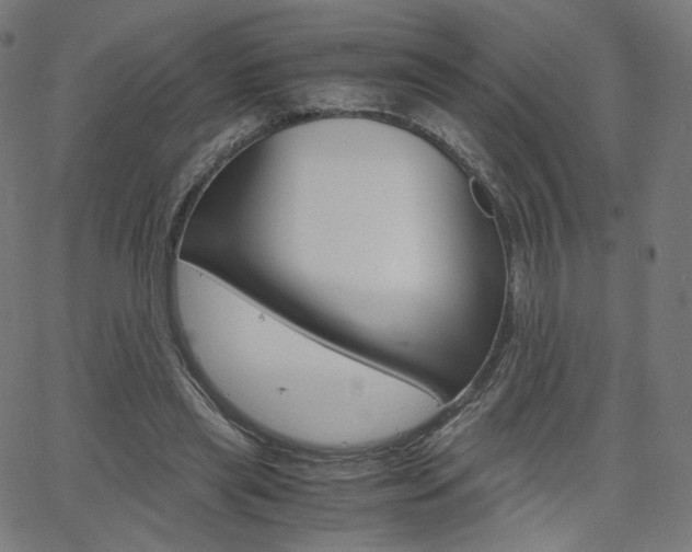 X0000063460445200601200934