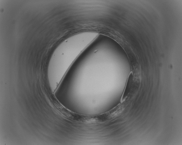 X0000063460456200601200934