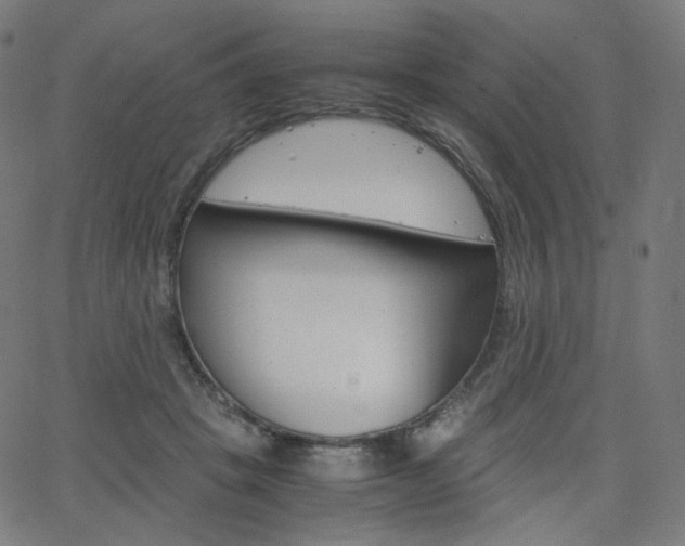 X0000063460457200601200934