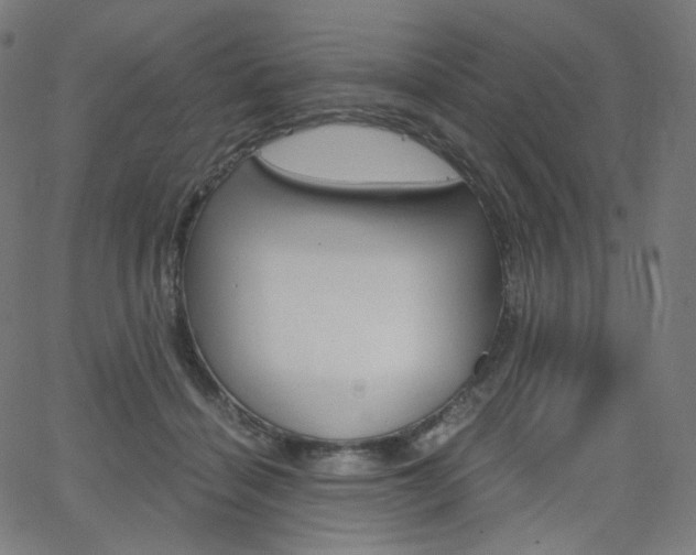 X0000063460460200601200934