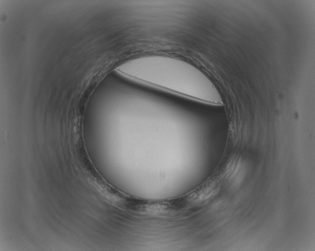 X0000063460462200601200934