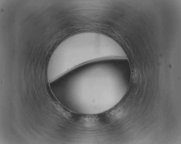 X0000063460466200601200934