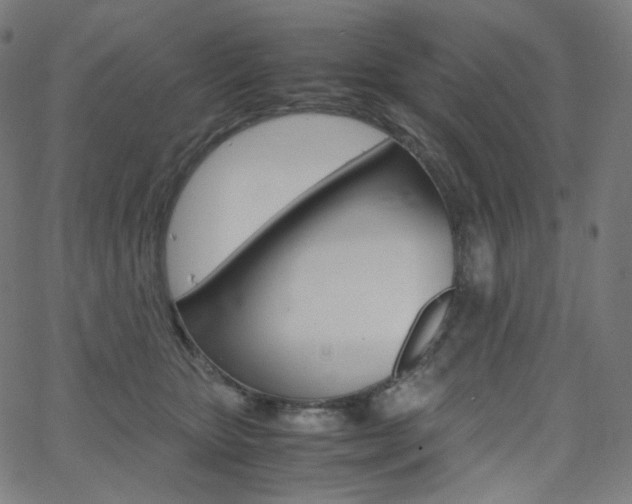X0000063460467200601200934