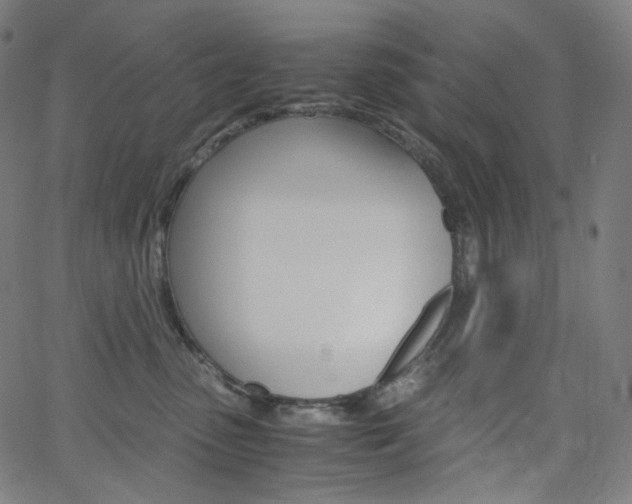 X0000063460475200601200935
