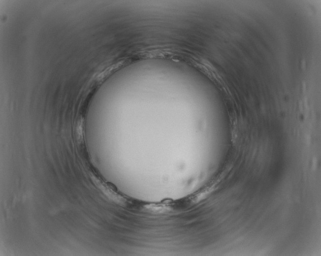 X0000063460477200601200935