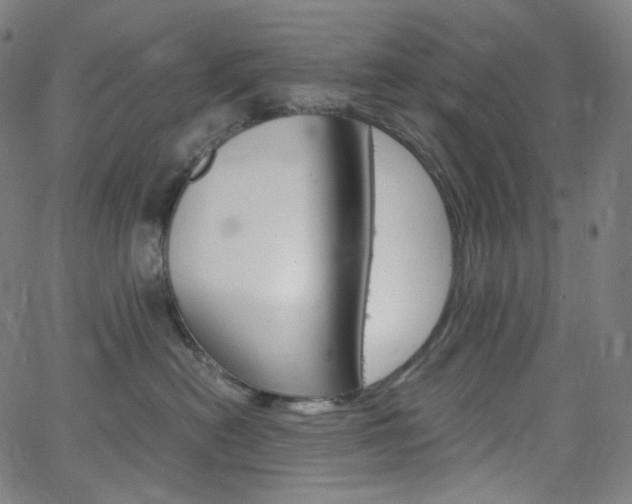 X0000063460478200601200935