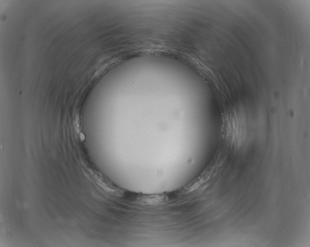 X0000063460479200601200935