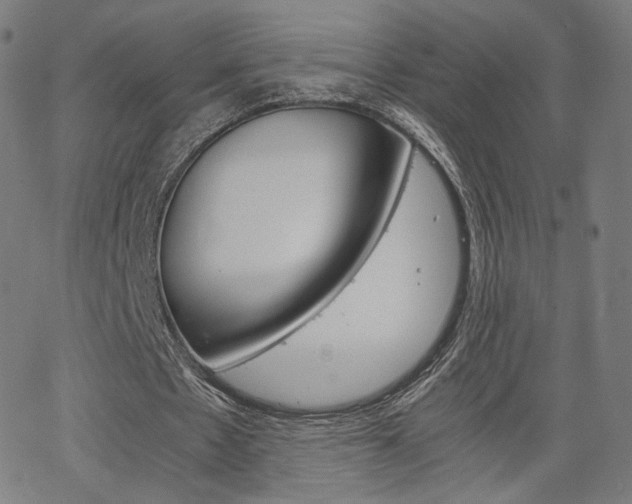 X0000063460481200601200934