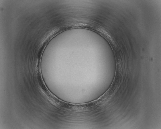 X0000063460490200601200934