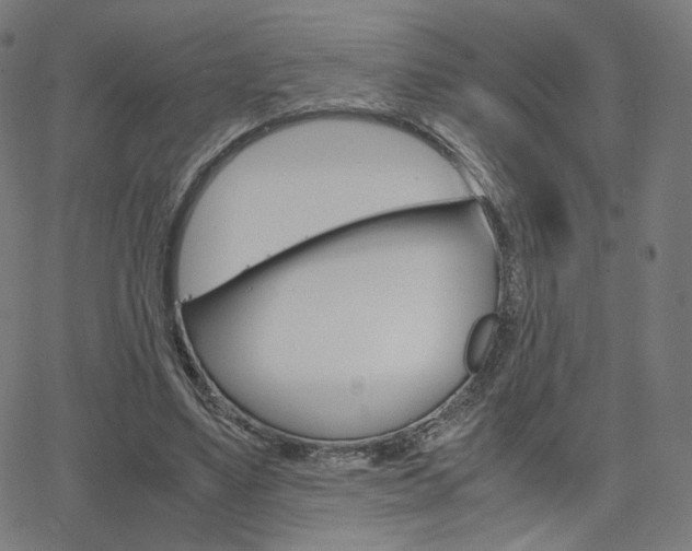 X0000063460491200601200934
