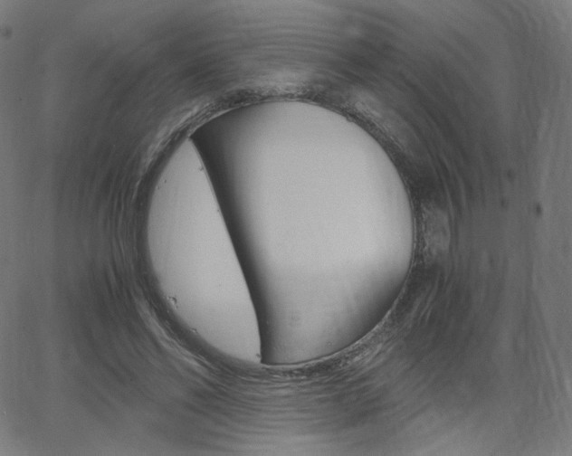 X0000063460494200601200934
