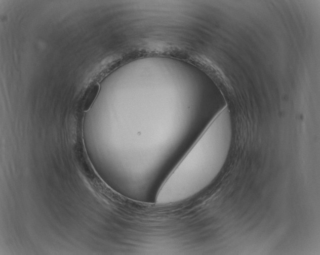 X0000063460496200601200934