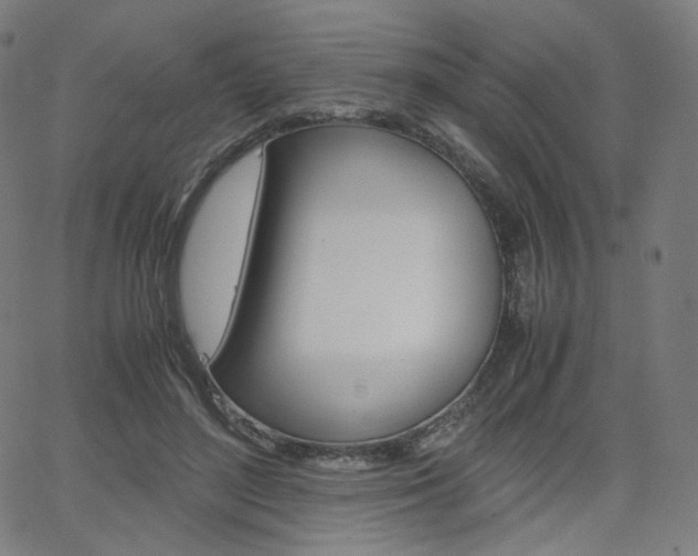 X0000063460500200601200933