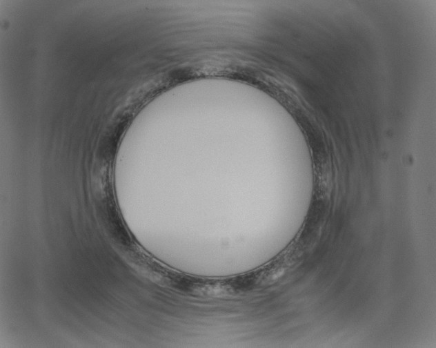 X0000063460503200601200933
