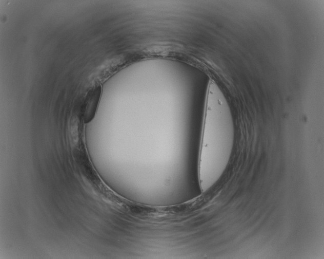 X0000063460504200601200933