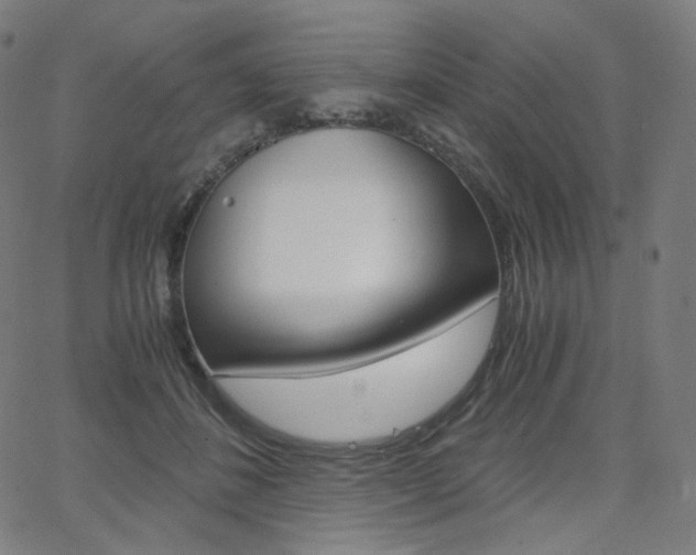 X0000063460508200601200933