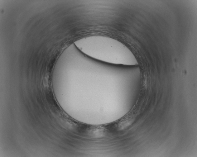X0000063460514200601200933