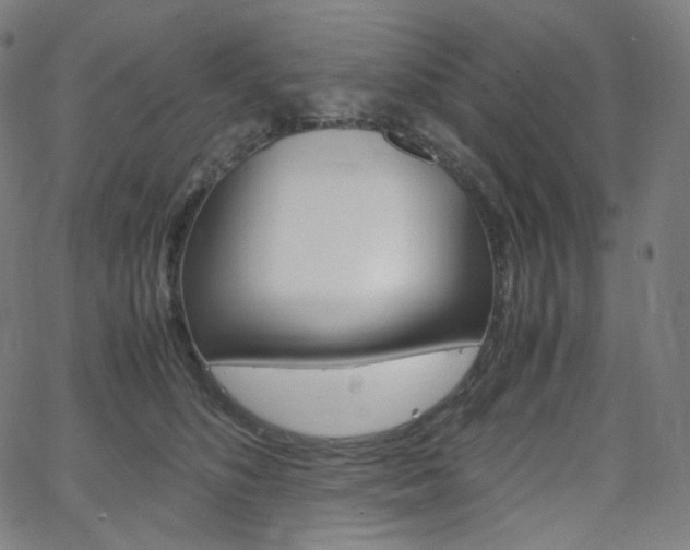 X0000063460516200601200933